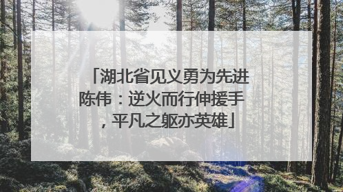 湖北省见义勇为先进陈伟：逆火而行伸援手，平凡之躯亦英雄